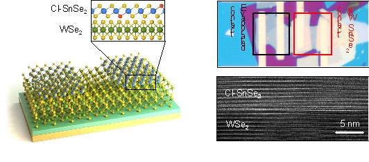 KIST 황도경 박사 연구팀이 개발한 2차원 반도체 전자 소자 구조와 현미경 사진. /사진=KIST