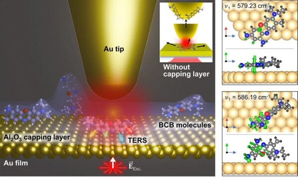 왼쪽이미지는 탐침증강 나노현미경을 이용해 금과 산화알루미늄 층 사이에 갇힌 분자를 관찰하는 것을 묘사한 그림. 오른쪽은 분자의 배향에 따라 분자의 진동모드가 변하는 것을 시각화한 그림./자료=포스텍