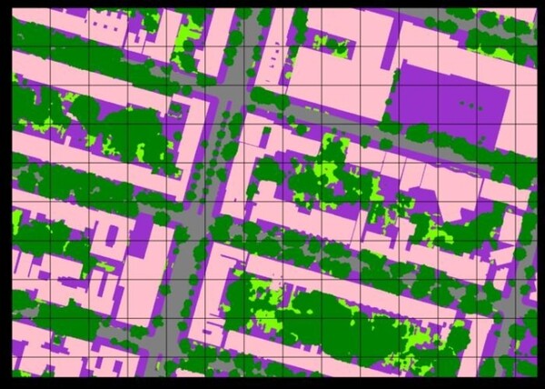 브루클린 프로스펙트 하이츠의 초목지도. 핑크와 보라는 건물과 포장지역을 나타냄.
