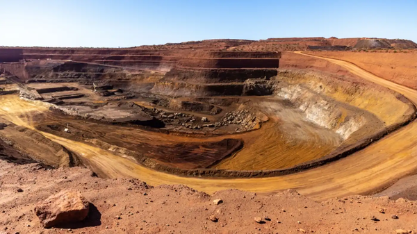 /사진=라이나스