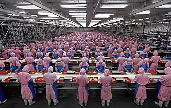 폭스콘 선전 생산공장 전경. 애플은 지난해 폭스콘 정저우 공장이 코로나19 탓에 폐쇄되면서 초기 물량 확보에 애를 먹었다. /사진=폭스콘