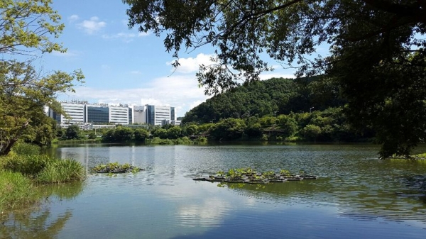 삼성디스플레이 아산캠퍼스 전경. /사진=삼성디스플레이