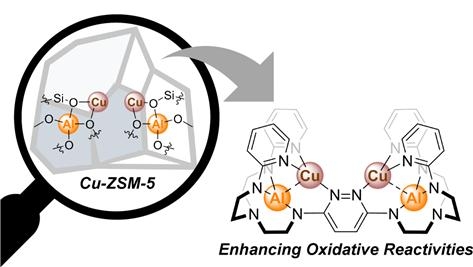 알려진 제올라이트의 구조와 본 연구에서 개발한 다중금속 구리 복합체의 구조 그림.