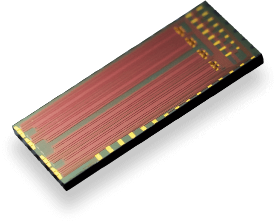 리오베이트가 개발한 데이터센터용 MUX(멀티플렉서). /사진=리오베이트