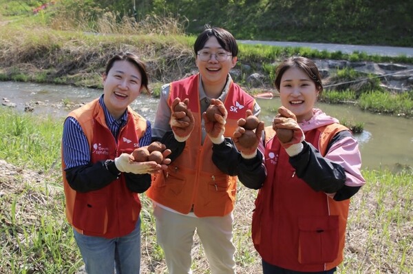 ▲SKC와 ISC 직원들이 경기 성남시 탄천에서 마이 그린 네이처 활동을 하고 있다.