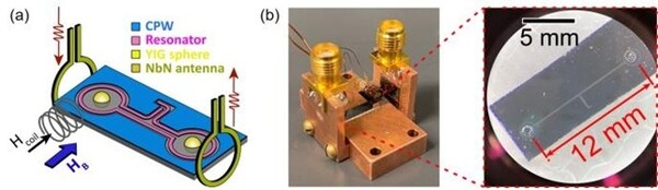 연구팀이 개발한 광자-마그논 하이브리드 칩. /사진=KAIST