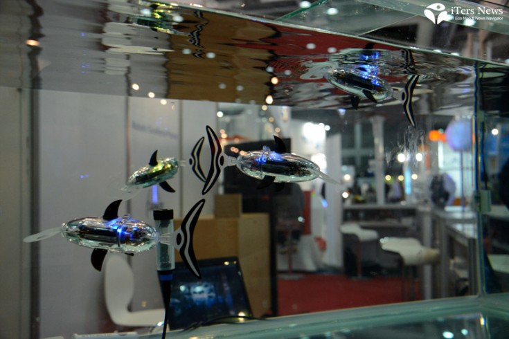 Robot Swim_France __Robot World 2012 (1)